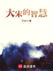 大宋的智慧全文阅读